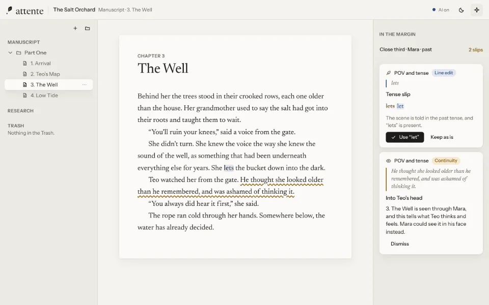 Two notes in the margin about point of view and tense: a slip in tense shown as a tracked change, and a sentence that slips into another character's head.